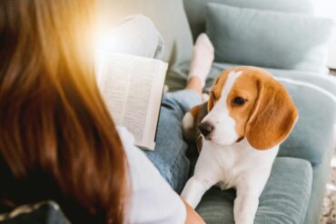 woman reading a book while dog lays on her lap