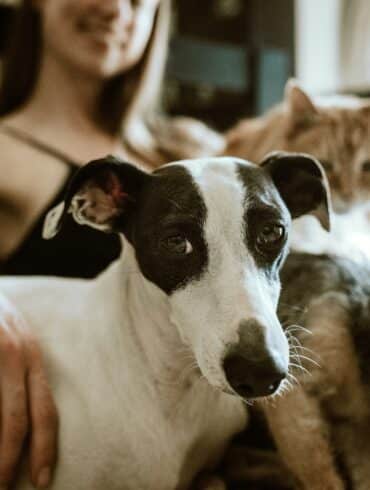 a woman sitting with a dog and a cat