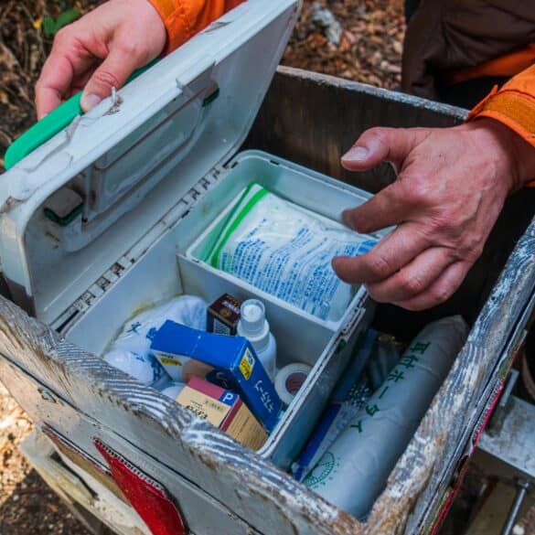 DIY first aid kit for dogs