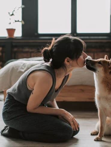 Can Dogs Understand Human word
