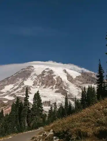 Visiting Mount Rainier With Your Pup